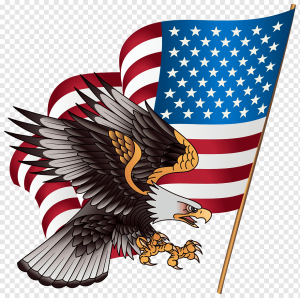 png-transparent-united-states-bald-eagle-american-eagle-outfitters-xchng-american-eagle-s-flag-vertebrate-flag-of-the-united-states