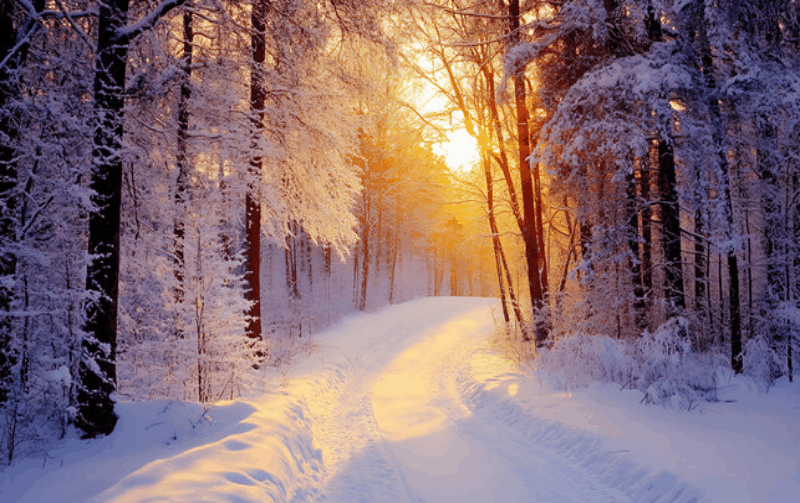 Гифка с Gifius.ru